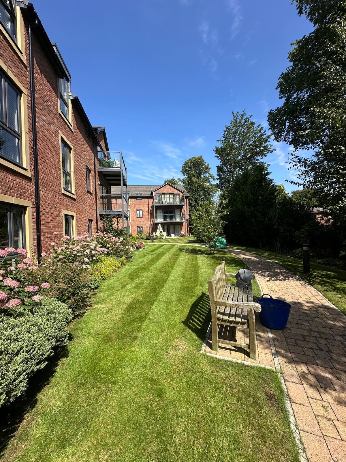 Avant Garden project 17